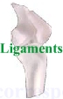 Questions sur les ligaments du genou